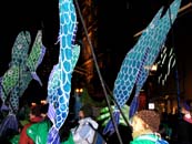 Flying Fish