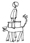 Pet Walker